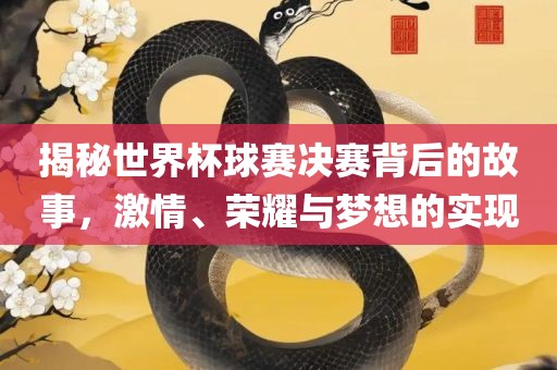 揭秘世界杯球赛决赛背后的故事，激情、荣耀与梦想的实现
