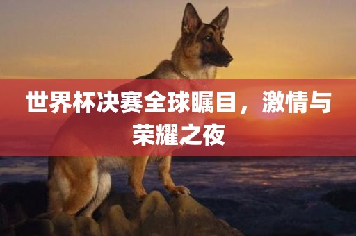 世界杯决赛全球瞩目，激情与荣耀之夜