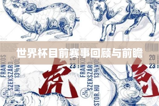 世界杯目前赛事回顾与前瞻
