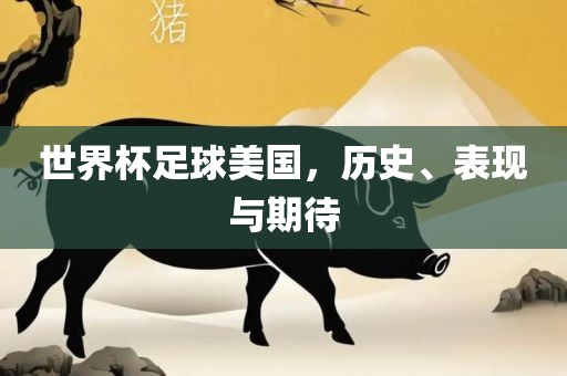 世界杯足球美国，历史、表现与期待