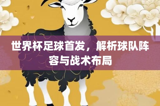 世界杯足球首发，解析球队阵容与战术布局