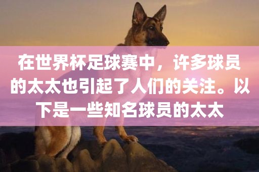 在世界杯足球赛中，许多球员的太太也引起了人们的关注。以下是一些知名球员的太太
