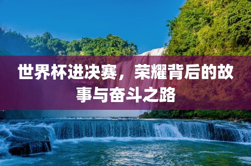世界杯进决赛，荣耀背后的故事与奋斗之路
