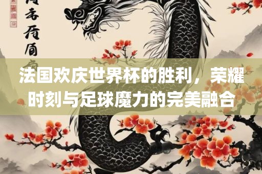 法国欢庆世界杯的胜利，荣耀时刻与足球魔力的完美融合