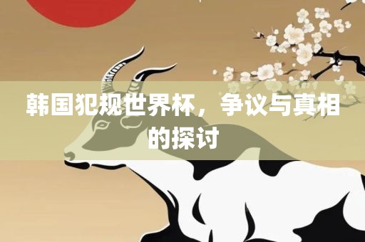 韩国犯规世界杯，争议与真相的探讨