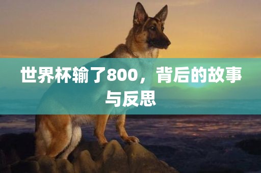 世界杯输了800，背后的故事与反思