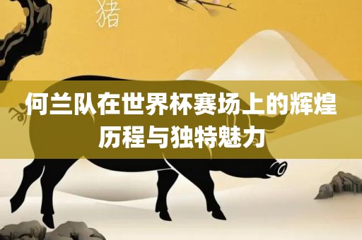 何兰队在世界杯赛场上的辉煌历程与独特魅力