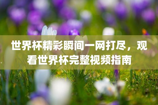 世界杯精彩瞬间一网打尽，观看世界杯完整视频指南