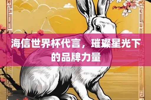 海信世界杯代言，璀璨星光下的品牌力量