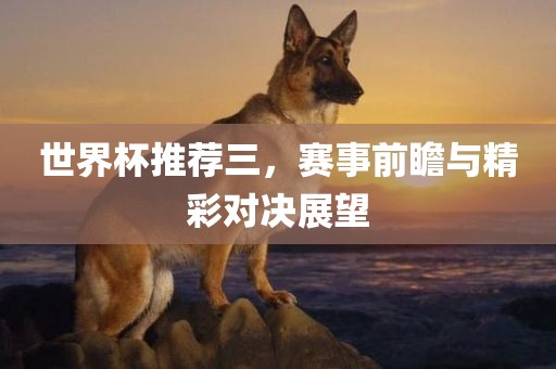 世界杯推荐三，赛事前瞻与精彩对决展望