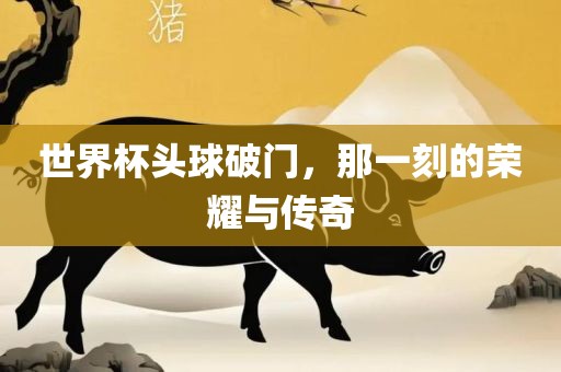 世界杯头球破门，那一刻的荣耀与传奇