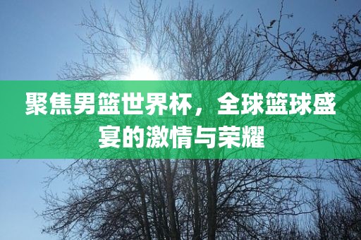 聚焦男篮世界杯，全球篮球盛宴的激情与荣耀