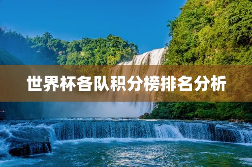 世界杯各队积分榜排名分析
