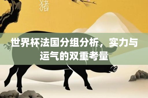 世界杯法国分组分析，实力与运气的双重考量