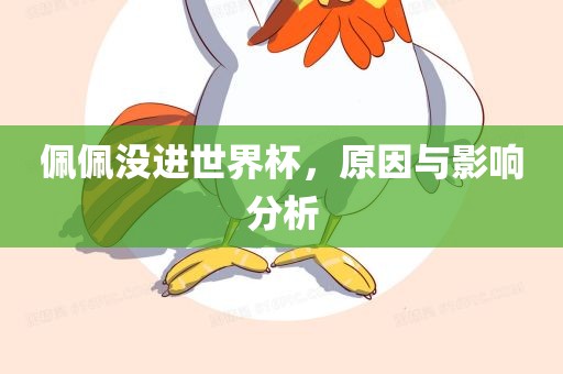 佩佩没进世界杯，原因与影响分析