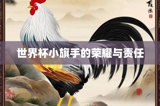 世界杯小旗手的荣耀与责任