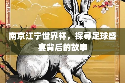南京江宁世界杯，探寻足球盛宴背后的故事