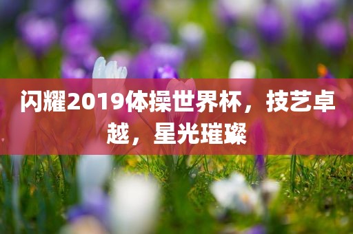 闪耀2019体操世界杯，技艺卓越，星光璀璨