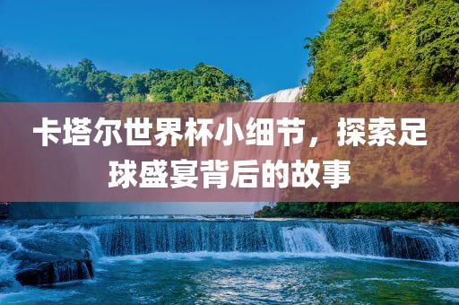 卡塔尔世界杯小细节，探索足球盛宴背后的故事