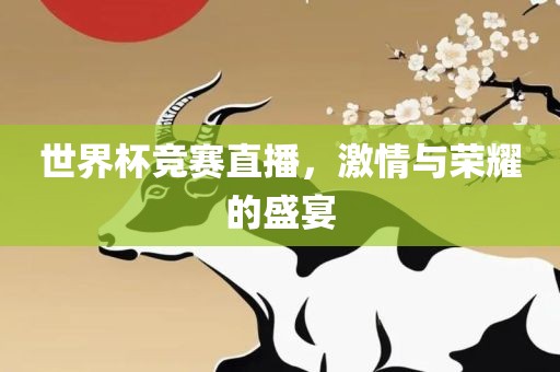 世界杯竞赛直播，激情与荣耀的盛宴