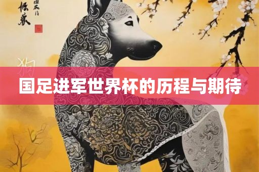 国足进军世界杯的历程与期待