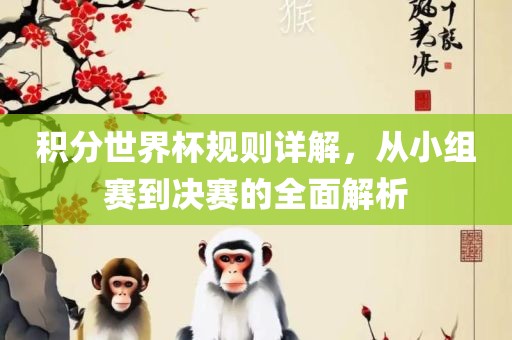 积分世界杯规则详解，从小组赛到决赛的全面解析