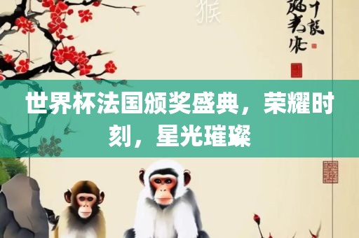 世界杯法国颁奖盛典，荣耀时刻，星光璀璨