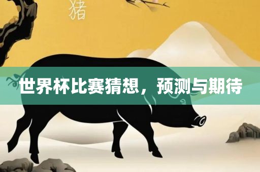 世界杯比赛猜想，预测与期待