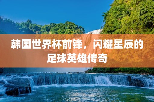 韩国世界杯前锋，闪耀星辰的足球英雄传奇