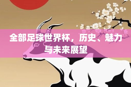全部足球世界杯，历史、魅力与未来展望