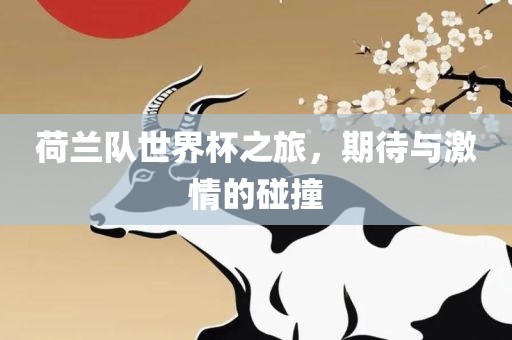 荷兰队世界杯之旅，期待与激情的碰撞