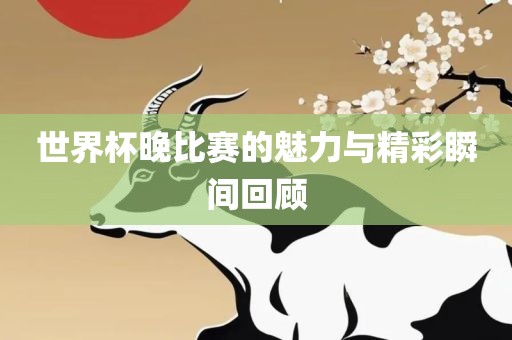世界杯晚比赛的魅力与精彩瞬间回顾