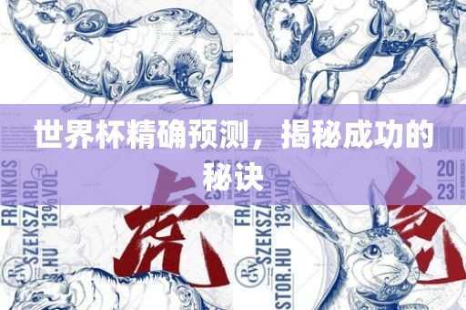 世界杯精确预测，揭秘成功的秘诀