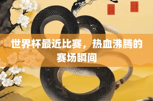世界杯最近比赛，热血沸腾的赛场瞬间