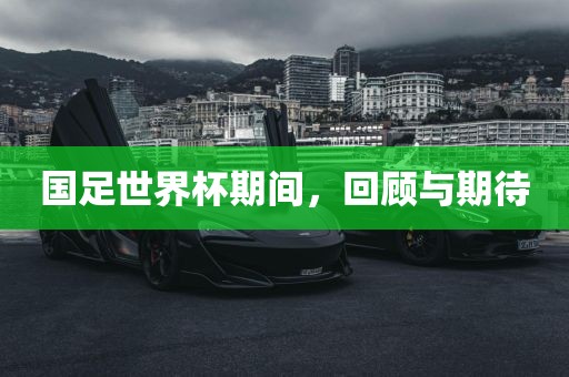 国足世界杯期间，回顾与期待