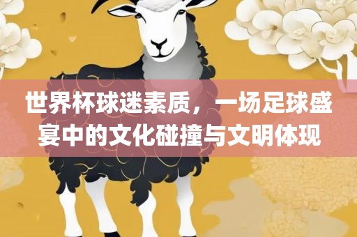 世界杯球迷素质，一场足球盛宴中的文化碰撞与文明体现