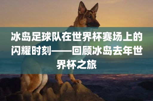 冰岛足球队在世界杯赛场上的闪耀时刻——回顾冰岛去年世界杯之旅