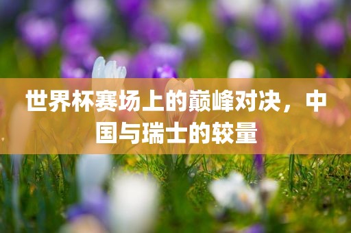世界杯赛场上的巅峰对决，中国与瑞士的较量