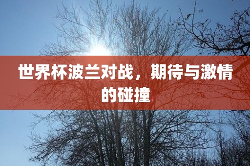 世界杯波兰对战，期待与激情的碰撞
