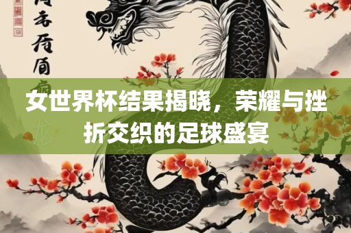 女世界杯结果揭晓，荣耀与挫折交织的足球盛宴
