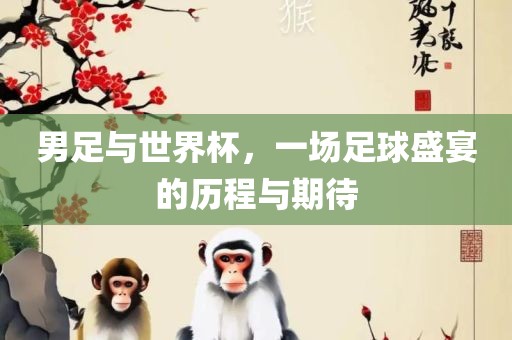 男足与世界杯，一场足球盛宴的历程与期待