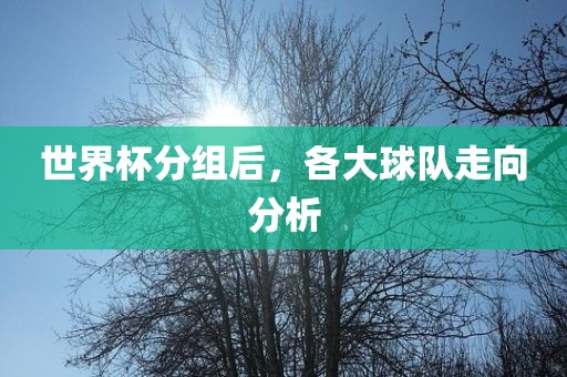 世界杯分组后，各大球队走向分析