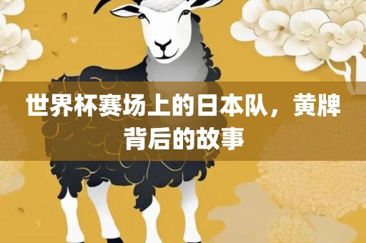 世界杯赛场上的日本队，黄牌背后的故事