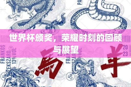 世界杯颁奖，荣耀时刻的回顾与展望