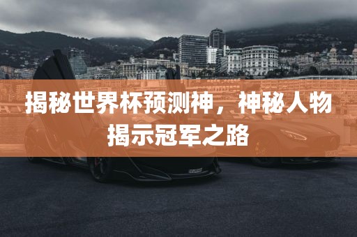 揭秘世界杯预测神，神秘人物揭示冠军之路