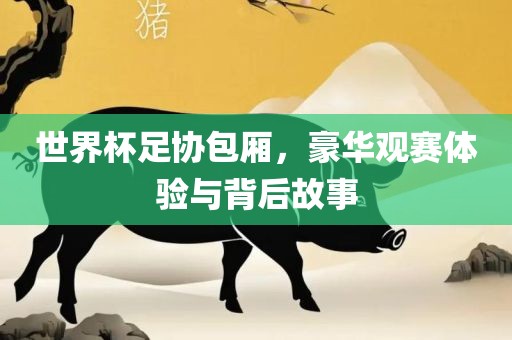 世界杯足协包厢，豪华观赛体验与背后故事