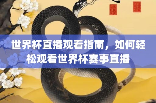 世界杯直播观看指南，如何轻松观看世界杯赛事直播
