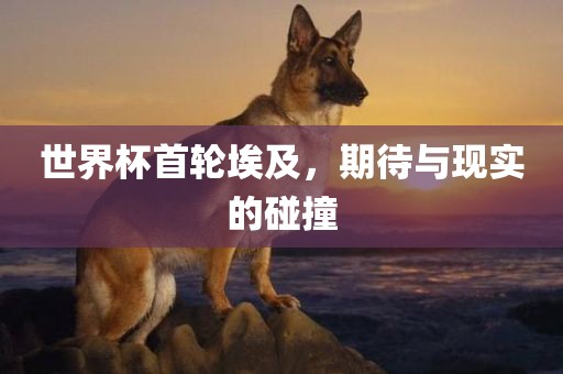 世界杯首轮埃及，期待与现实的碰撞