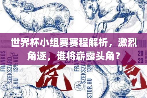 世界杯小组赛赛程解析，激烈角逐，谁将崭露头角？