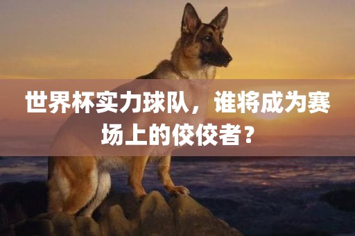 世界杯实力球队，谁将成为赛场上的佼佼者？